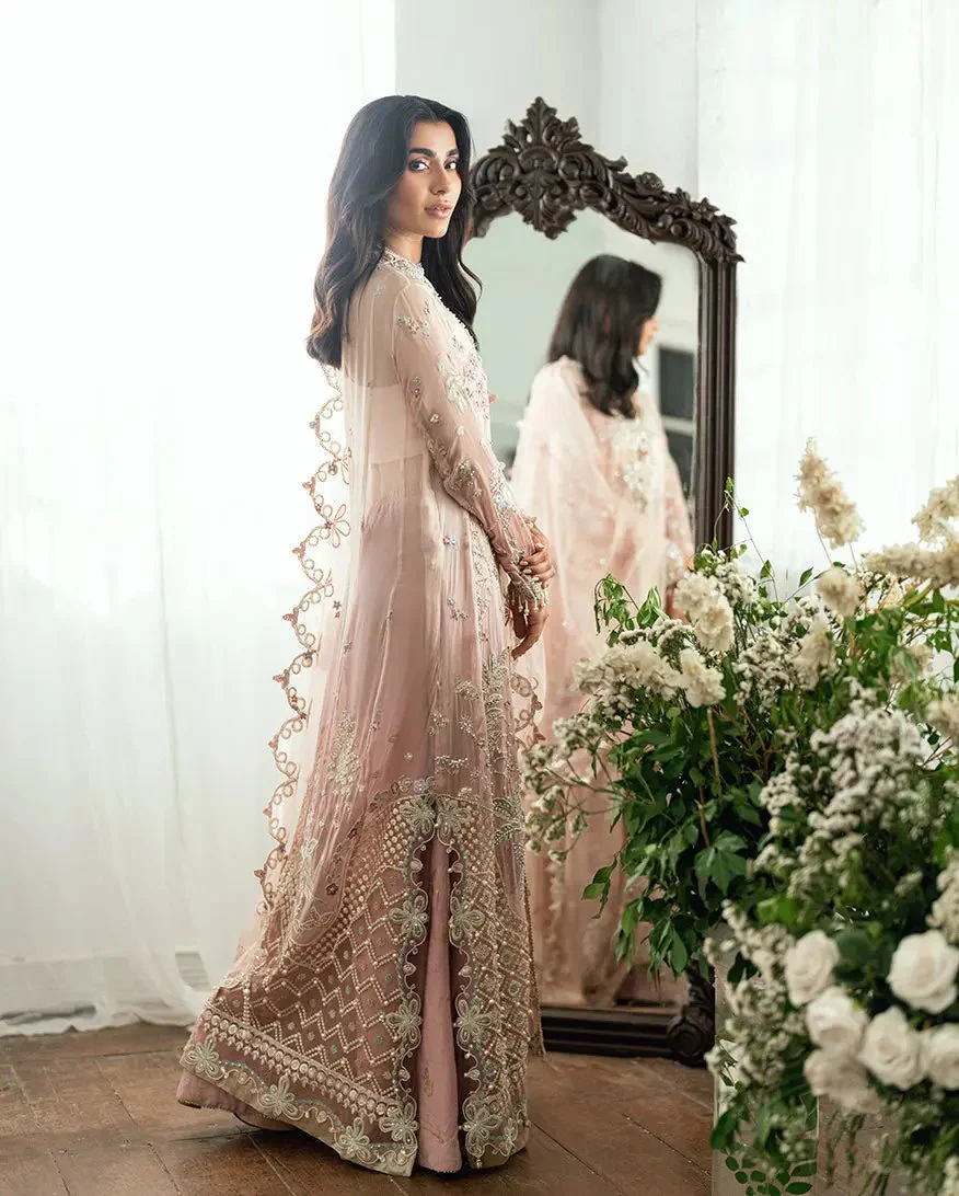 MUSHQ - SHEHNAI - Image 5